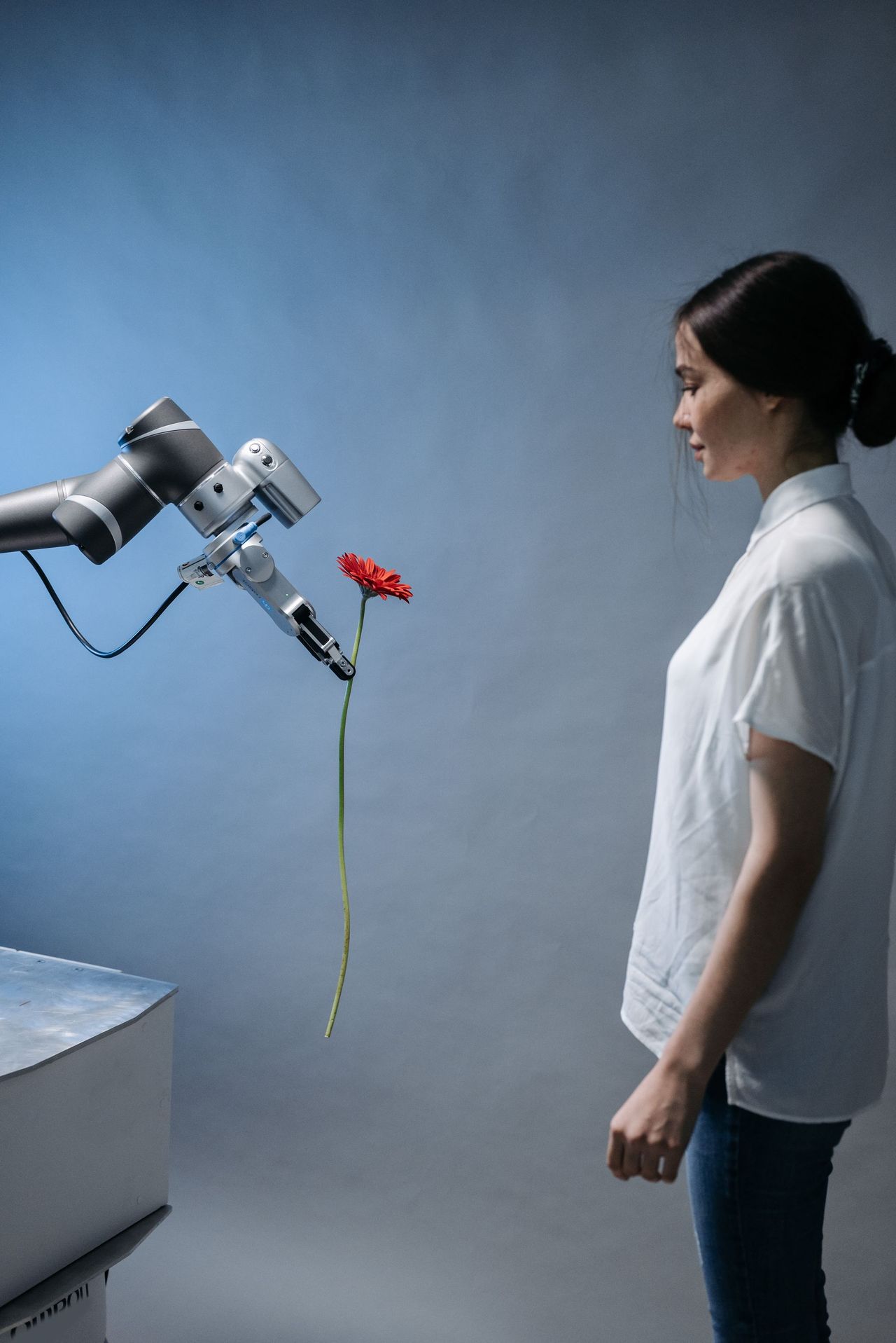 A person and a robot arm interacting through a flower.